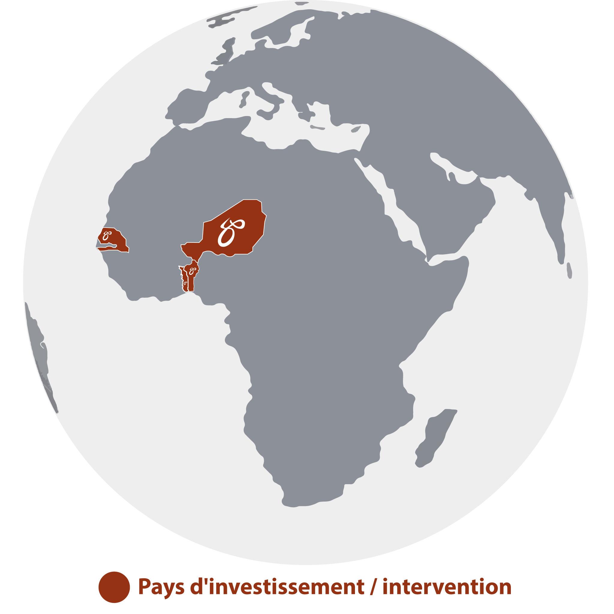 Holding Bourjon Investment